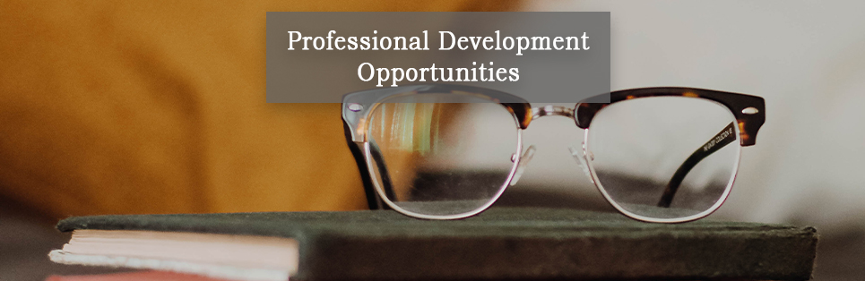 Professional Development Opportunities