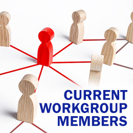 Current Workgroup Members