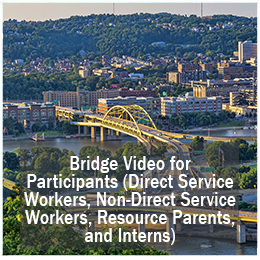 Bridge Overview Video